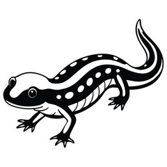 Red-Spotted Newt vector illustration white background