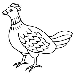 Ruffed Grouse vector illustration white background