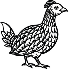 Ruffed Grouse vector illustration white background