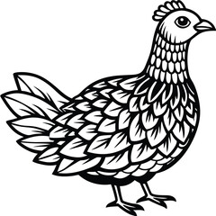 Ruffed Grouse vector illustration white background