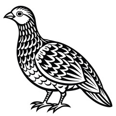 Ruffed Grouse vector illustration white background