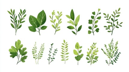 Fresh green leaves and sprigs