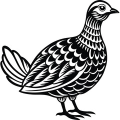 Ruffed Grouse vector illustration white background