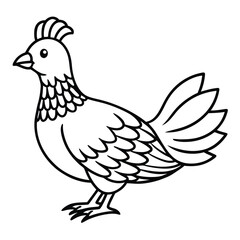 Ruffed Grouse vector illustration white background