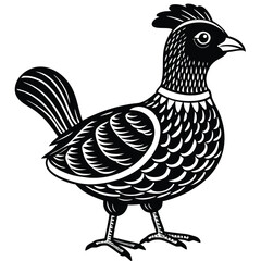 Ruffed Grouse vector illustration white background