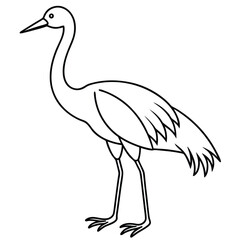 Obraz premium Sandhill Crane vector illustration white background