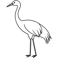 Obraz premium Sandhill Crane vector illustration white background
