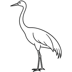 Sandhill Crane vector illustration white background