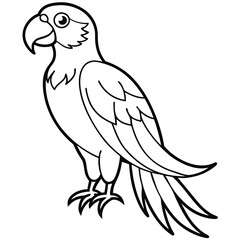 Fototapeta premium Scarlet Macaw vector illustration white background