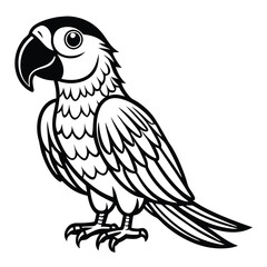 Scarlet Macaw vector illustration white background