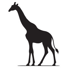 Tall Black Giraffe Silhouette Vector Illustration