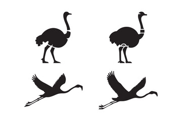 Bird Silhouette Icons Ostrich and Flamingo Vector Set