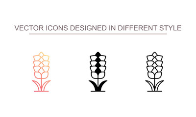 Lavender icon design with white background stock illustration
