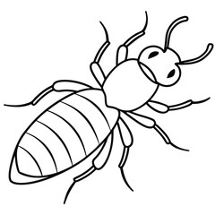 Termite vector illustration white background