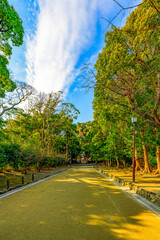  木漏れ日が美しい鶴岡八幡宮の清らかな朝の道