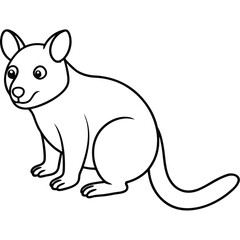 Tree Kangaroo vector illustration white background