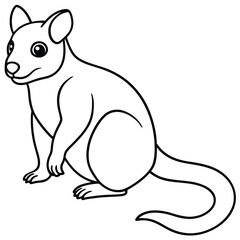 Tree Kangaroo vector illustration white background