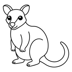 Tree Kangaroo vector illustration white background