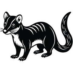 Weasel vector illustration white background