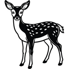 White Tailed Deer vector illustration white background