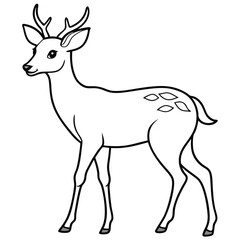 White Tailed Deer vector illustration white background
