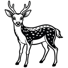 White Tailed Deer vector illustration white background