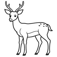 White Tailed Deer vector illustration white background