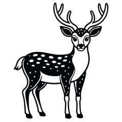 White Tailed Deer vector illustration white background