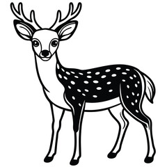 White Tailed Deer vector illustration white background