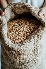 Obraz premium Hands holding burlap sack of wheat