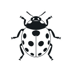 Simple Black and White Ladybug Illustration Isolated on White Background