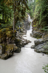 Cascading Waterfall Surrounded by Lush Forest