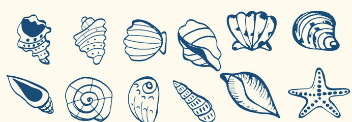 Set of hand drawn seashells drawing ink. Minimalist line art. Summer vacation design elements for trendy prints, label, menu cover. Tropical beach shells. Vector flat illustration.