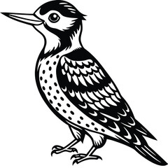 Yellow Belleid Sapsucker vector illustration white background