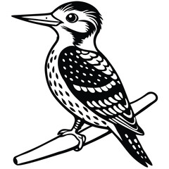 Yellow Belleid Sapsucker vector illustration white background