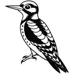 Yellow Belleid Sapsucker vector illustration white background