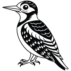 Yellow Belleid Sapsucker vector illustration white background