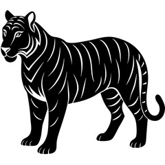 Tiger Silhouette  isolated white Background 