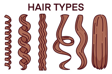 Illustrated diagram of hair types in brown tones, showing progression from coily, curly, wavy to straight strands. Useful in hair care diversity materials and educational content