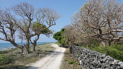 Delft is an island in the Palk Strait Sri Lanka