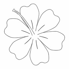 Hibiscus coloring page simple and minimal line art illustration on white background