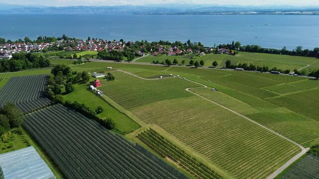 Weingut bei Meersburg bei Tag 