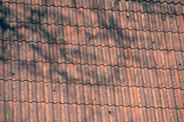 old roof tilest, nacka,sweden,sverige,summer,stockholm