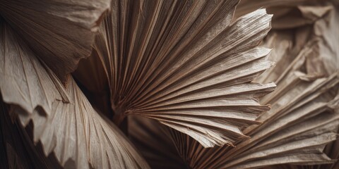 Dried Palm Frond Texture