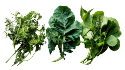 Fresh green leafy vegetables on a white isolate background.