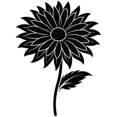 black and white flower