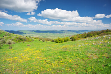Mountain meadow and yellow flower at day.