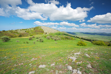 Mountain meadow and valley at day.