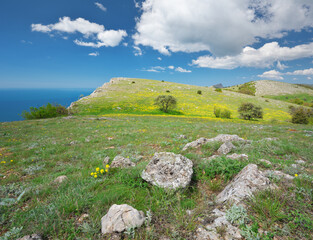 Beautiful spring landscape nature of mountain meadow and sea at day