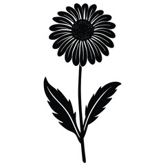 black and white flower